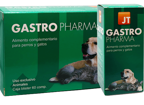 Gastro Pharma